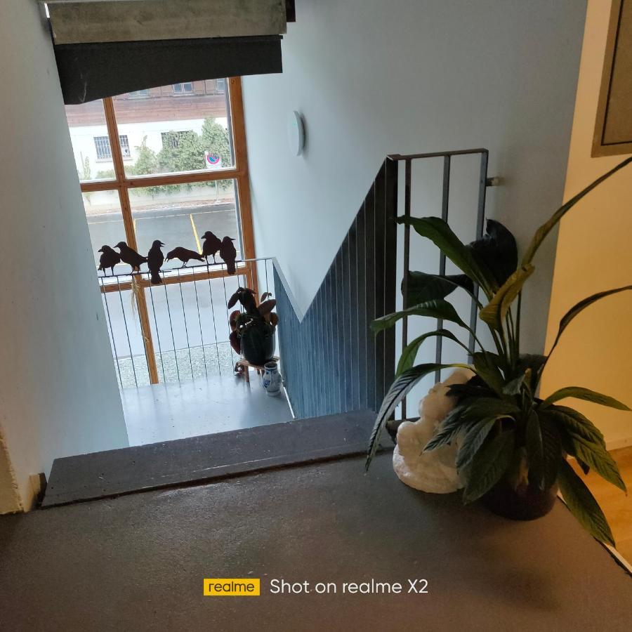 Balmweid 1 Apartment Meiringen